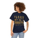Please Don't Kill My Character High Quality Tee