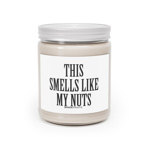 This Smells Like My Nuts Funny Rude Offensive Vulgar Christmas Aromatherapy Candles, 9oz