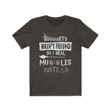 Hogwarts Wasn't Hiring So I Heal Muggles Instead High Quality T-Shirt - Binge Prints