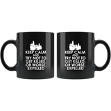 Keep Calm And Try Not To Get Killed Or Expelled Mug - Funny Hogwarts School Joke Coffee Cup - Luxurious Inspirations